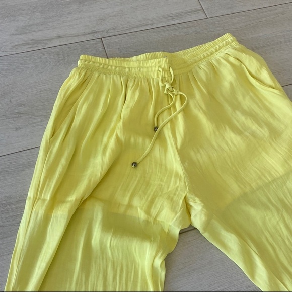 Naked Zebra Pants - Picture 3 of 7